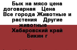 Бык на мясо цена договарная › Цена ­ 300 - Все города Животные и растения » Другие животные   . Хабаровский край,Бикин г.